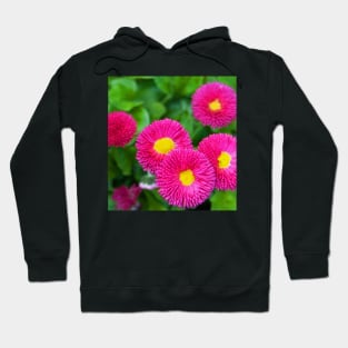 Purple Flower Hoodie